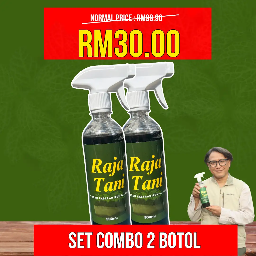 2 Botol Raja Tani
